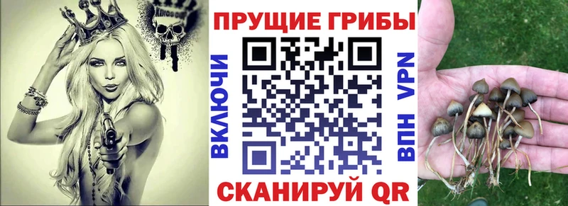 Галлюциногенные грибы Magic Shrooms  Купить где  Каргополь 